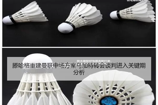滕哈格重建曼联中场方案乌加特转会谈判进入关键期分析